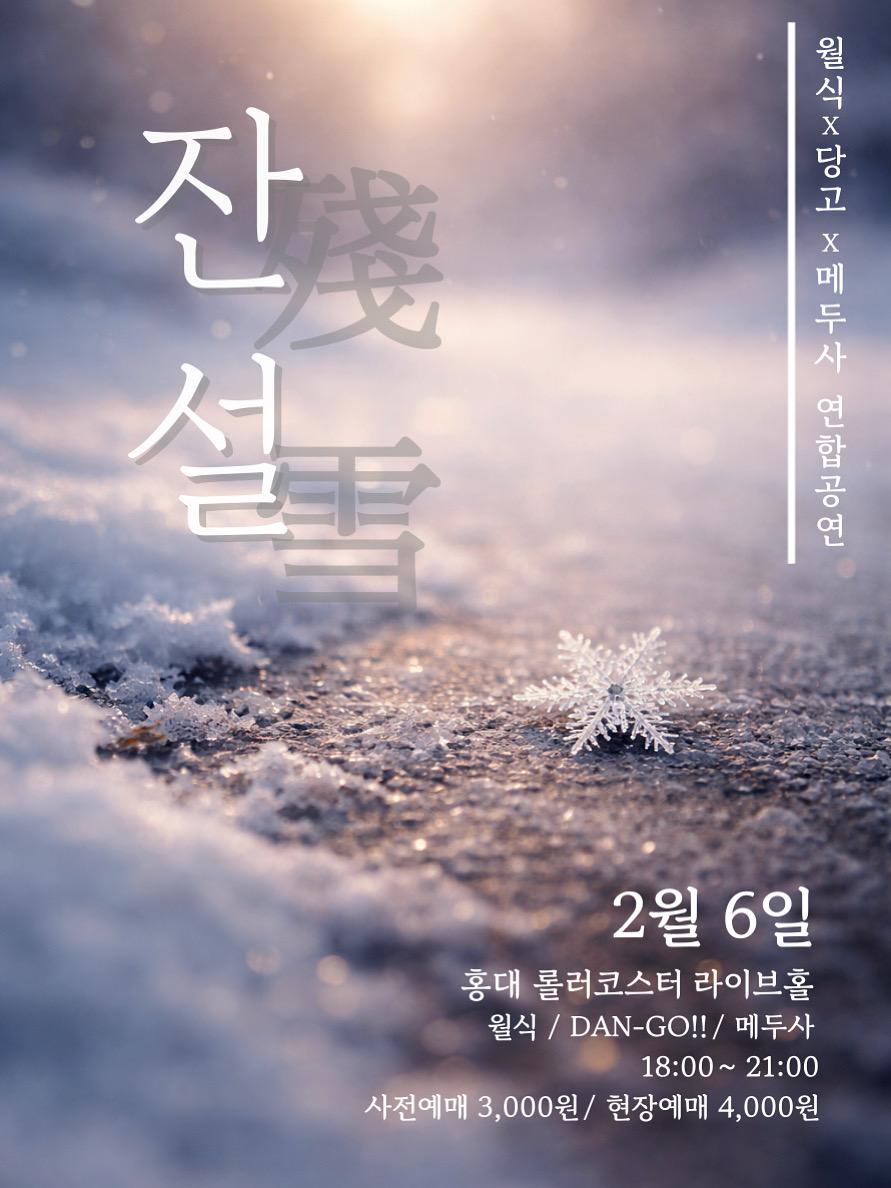 殘雪 : 잔설